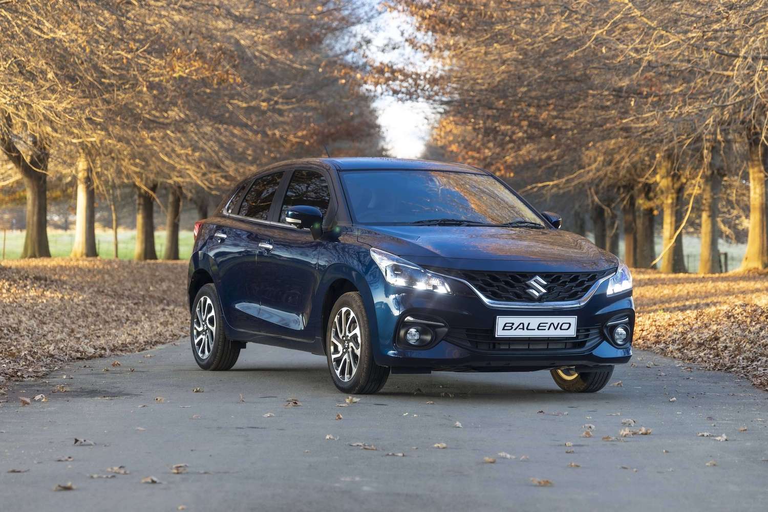 Rent a Baleno